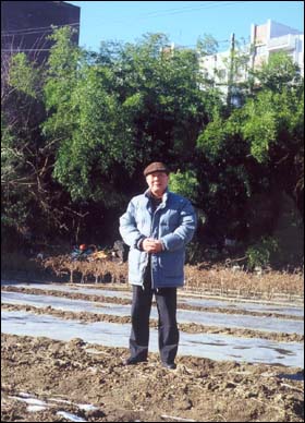 임은동 왕산 생가 터에서 필자. 항일 명문 집이 주춧돌마저 찾아볼 수 없도록 폐허가 되고, 뒷뜰 대나무만 몇 그루 남아 있었다. 필자가 관계기관에 이를 지적해도 마이동풍이다. 이 땅에는 아직 정의도 진리도 없다. 오직 천민자본주의만 있을 뿐이다. '선비의 고장' '충절의 고장'이란 말이 몹시 부끄럽다. 